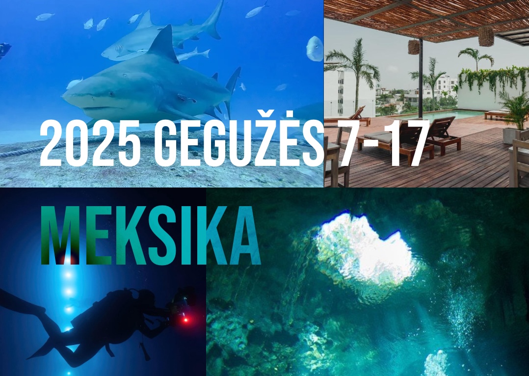 Meksika 2025